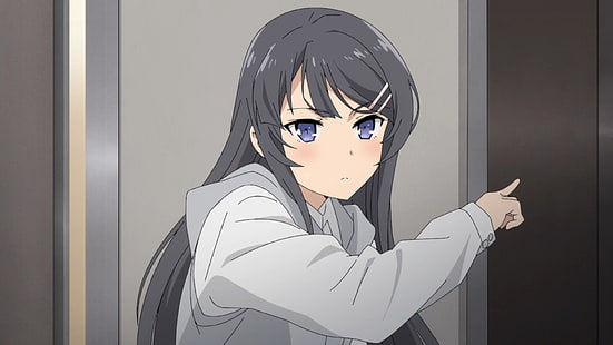 Anime, patife não sonha com Bunny Girl Senpai, olhos azuis, cabelos grisalhos, Mai Sakurajima, HD papel de parede HD wallpaper