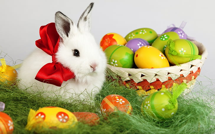 Coniglio bianco di Pasqua, uova di Pasqua, coniglio di pasqua, coniglio bianco, poster di pasqua, Sfondo HD