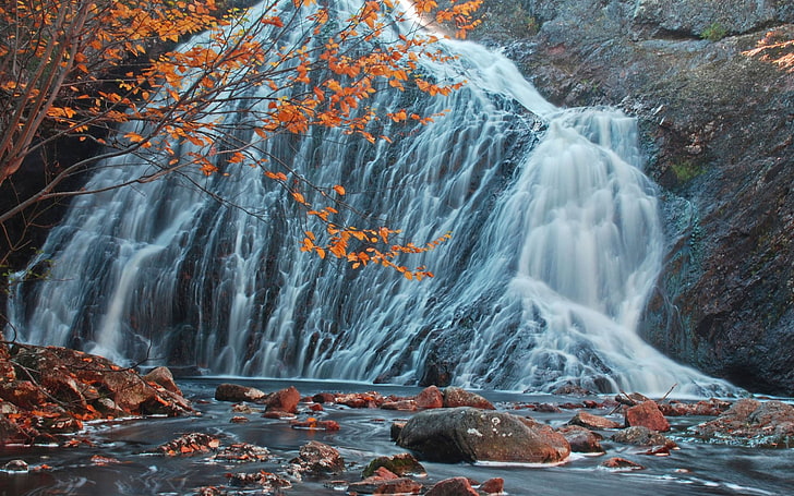 Cascada del bosque de Canadá en otoño Stones River Waterfall Tree con hojas rojas Cliff Beautiful Desktop Wallpaper Hd 2880 × 1800, Fondo de pantalla HD