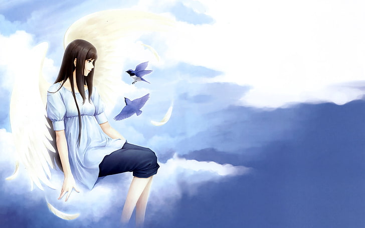 чёрные волосы женщина с крыльями аниме персонаж иллюстрация, аниме, девушка, брюнетка, небо, птицы, полет, HD обои