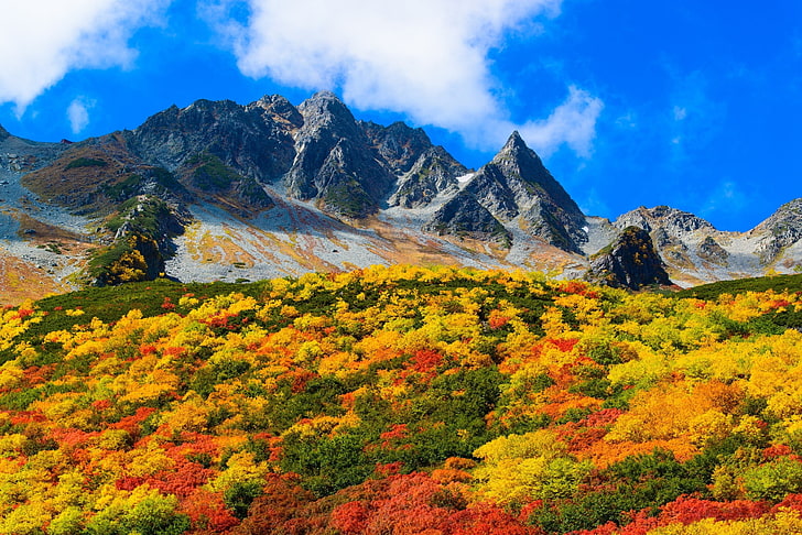 ตก, ภูเขา, พุ่มไม้, เมฆ, ฟ้า, เหลือง, เขียว, แดง, ญี่ปุ่น, ธรรมชาติ, ภูมิทัศน์, วอลล์เปเปอร์ HD