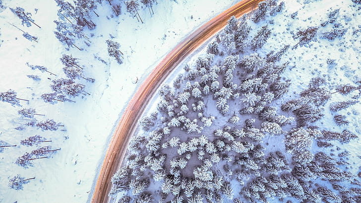 invierno, pinos, nieve, camino, bosque, frío, Fondo de pantalla HD