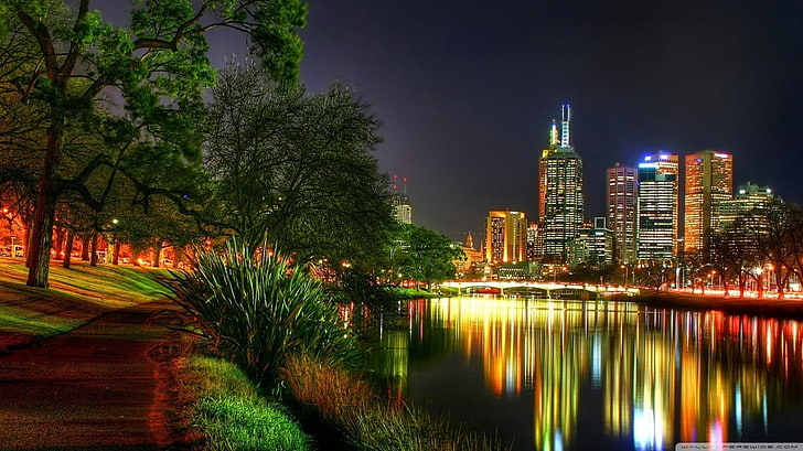 bosque al lado de la formación de agua, Melbourne, Australia, noche, luces, Fondo de pantalla HD