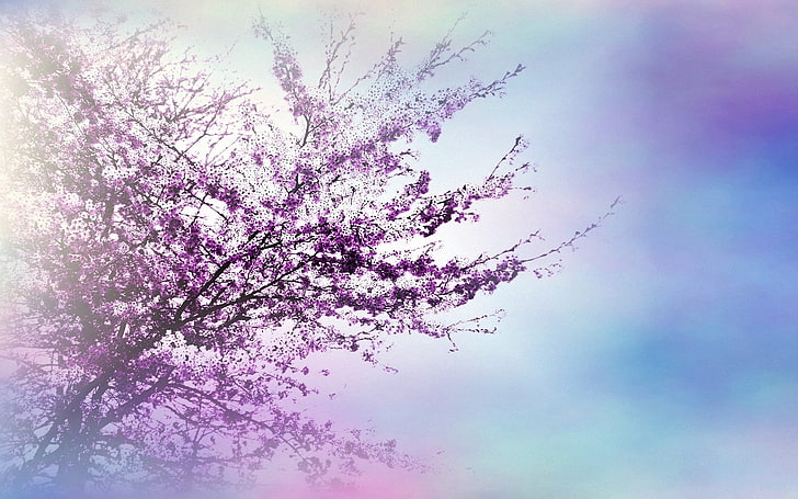 purple leafed tree, tree, branches, flowers, spring, luminescence, HD wallpaper
