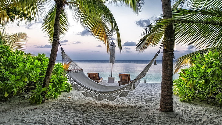 tempat tidur gantung putih, pemandangan, tempat tidur gantung, pohon-pohon palem, tropis, laut, pantai, Wallpaper HD