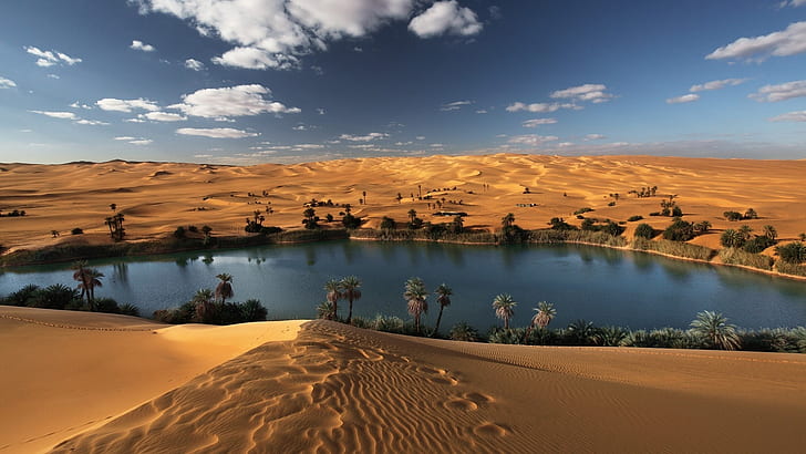 desert, oasis, Sands, sahara, libyan, HD wallpaper