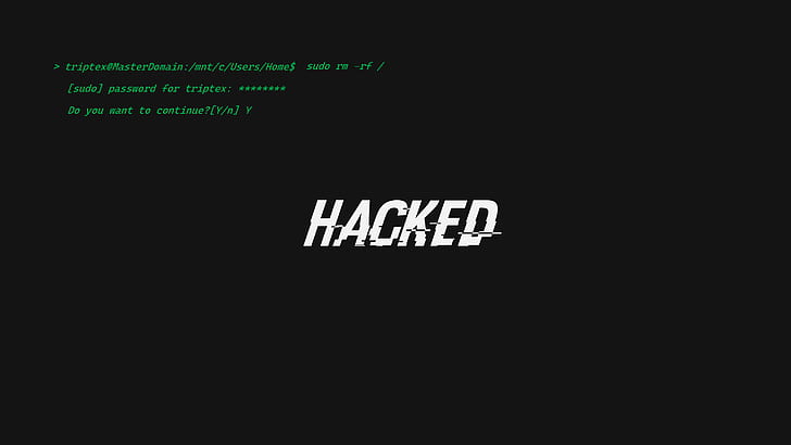hackerman, terminals, simple, geek, HD wallpaper