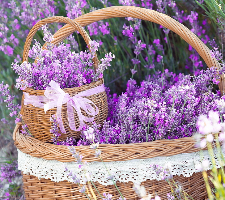 zwei runde braune Weidenkörbe, Blumen, Lavendel, Körbe, purpurrote Blumen, Band, HD-Hintergrundbild