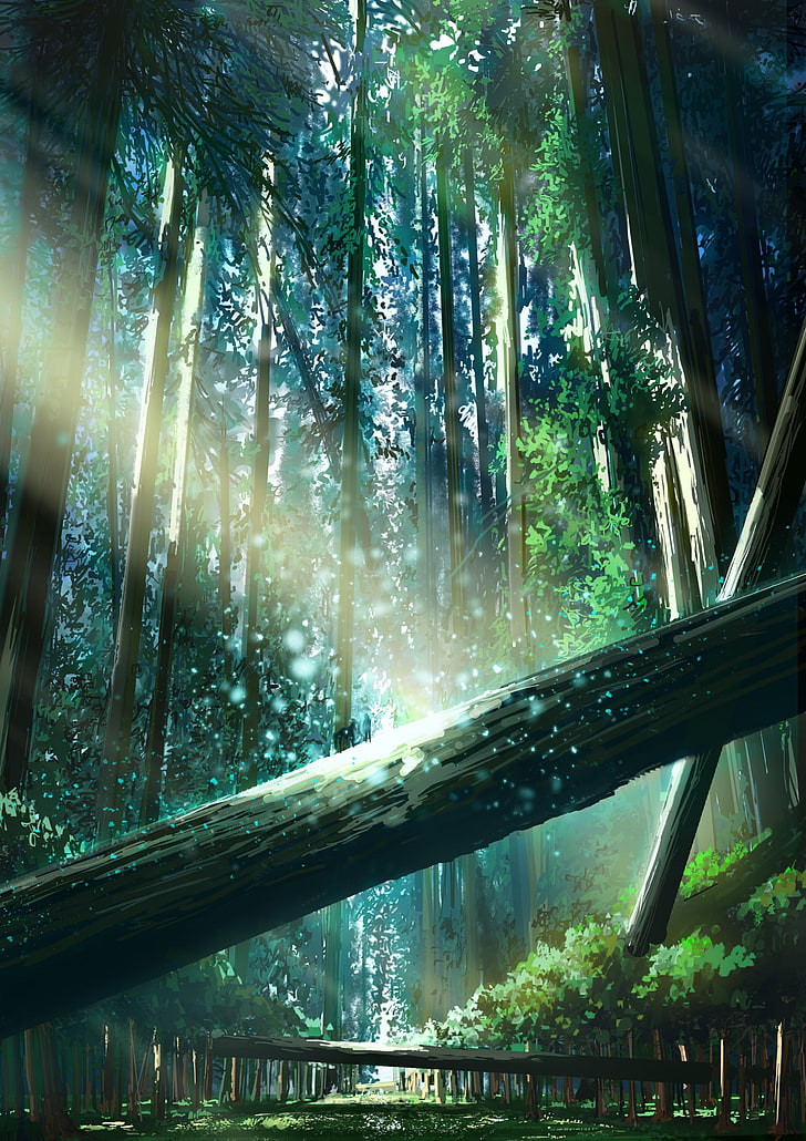 أنيمي ، غابة ، مناظر طبيعية ، ضوء الشمس، خلفية HD، خلفية الهاتف
