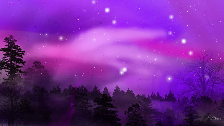 Purple Aurora, pine trees, aurora borealis, firefox persona, northern lights, mountains, bright, pink, trees, purple, 3d and, HD wallpaper