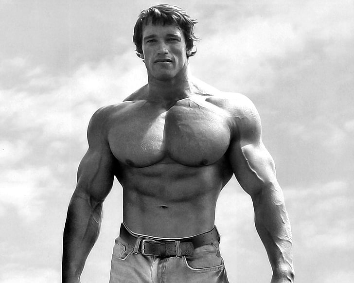Arnold Schwarzenegger, Arnold Schwarzenegger, Kulturysta, siłownie, umięśniony, Tapety HD