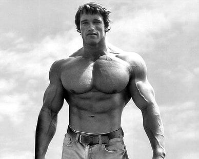 Arnold Schwarzenegger, Arnold Schwarzenegger, Bodybuilder, gymnases, musclé, Fond d'écran HD HD wallpaper