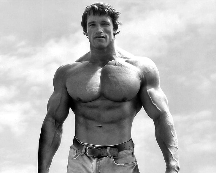 Kulturysta, siłownie, umięśniony, Arnold Schwarzenegger, Tapety HD