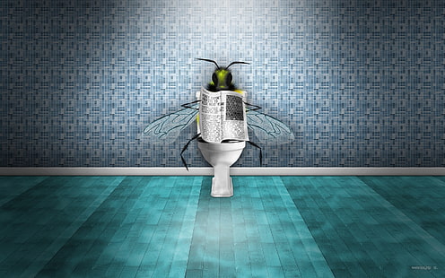 الذباب في المرحاض يقرأ الجريدة ، الذباب ، المرحاض ، القراءة ، الجريدة، خلفية HD HD wallpaper