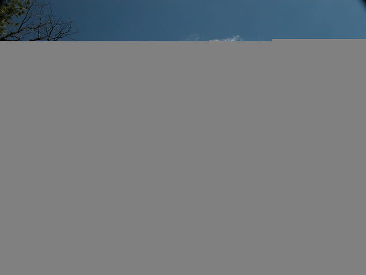 Nuvola & vo albero, alberi, natura, 3d ed estratto, Sfondo HD