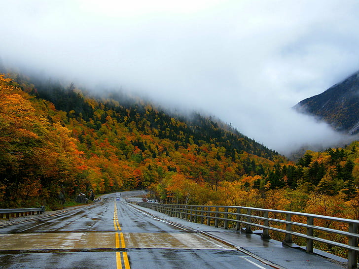fotografía de paisaje de la carretera de asfalto cerca del bosque con clima de niebla, Road Ahead, fotografía de paisaje, asfalto, bosque, niebla, clima, New Hampshire, otoño, otoño, naturaleza, montaña, carretera, al aire libre, árbol, paisaje, amarillo, Fondo de pantalla HD