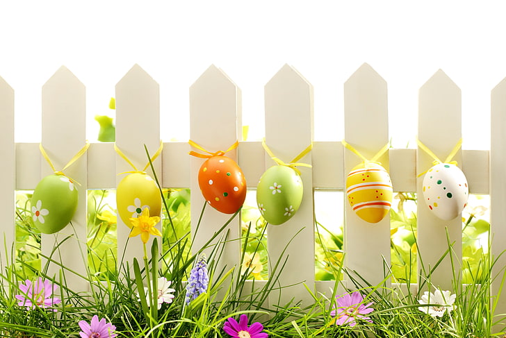 verschiedene Ostereier, Gras, Blumen, Natur, Eier, Frühling, Ostern, HD-Hintergrundbild