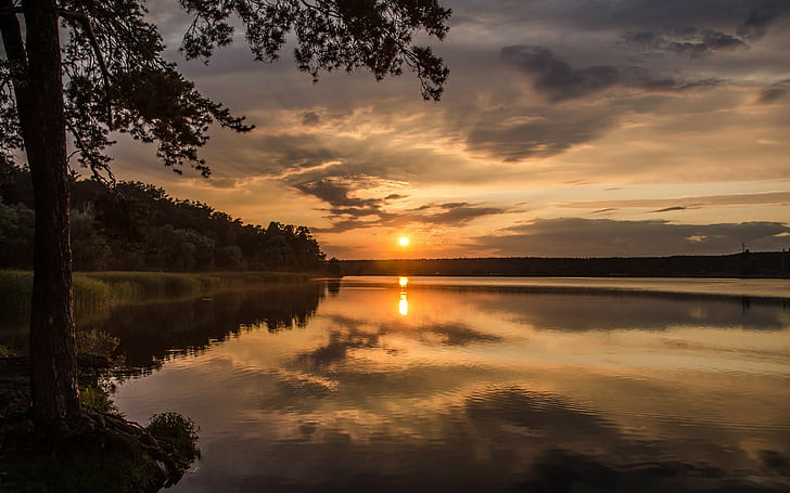 Sun rays on lake, Lake, rays, sun, Sunset, forest, trees, reflection, Nature Hd, Download, HD wallpaper