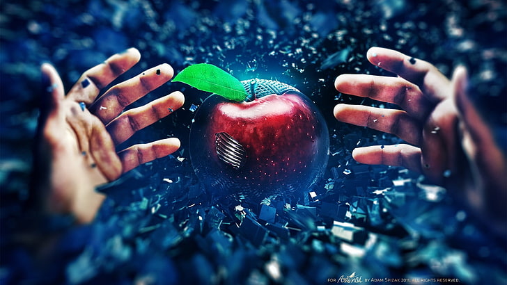 person reaching red apple illustration digital wallpaper, hands, digital art, apples, Adam Spizak, HD wallpaper