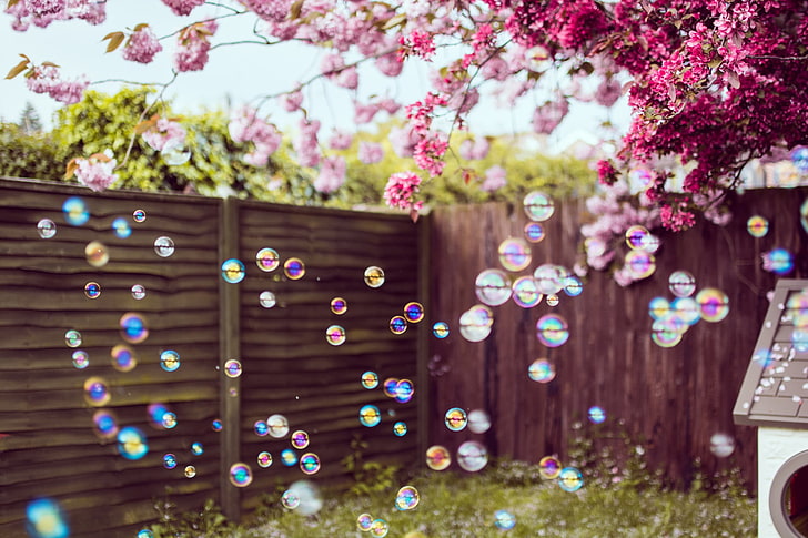 bubbles, trees, flowers, backyard, HD wallpaper