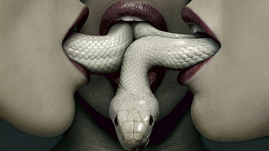 змия американска история на ужасите ужас, HD тапет HD wallpaper
