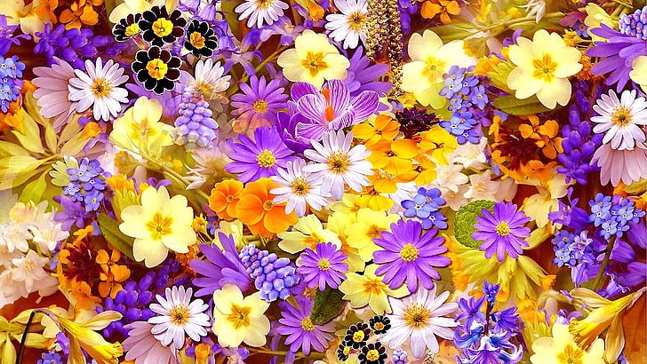 flores, flores moradas, collage, flora, floristería, Fondo de pantalla HD