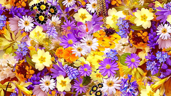 花、紫の花、コラージュ、植物、フローリストリー、 HDデスクトップの壁紙 HD wallpaper