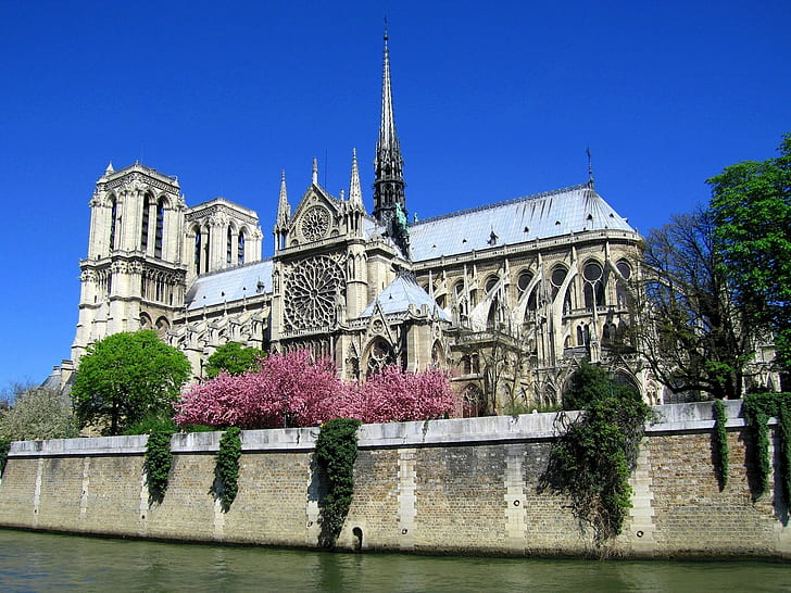 Notre-dame de paris, Cathedral, Paris, France, HD wallpaper