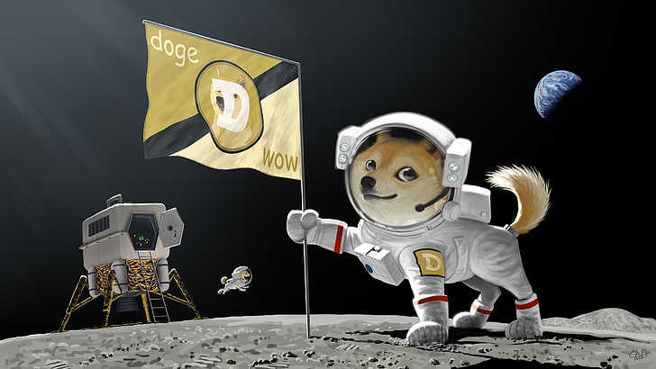 Fond d'écran Doge Wow, astronaute, chien, doge, terre, drapeau, atterrissage, meme, lune, planète, Fond d'écran HD