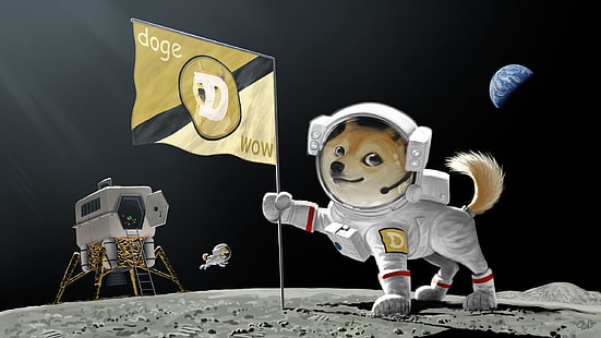 Fondo de pantalla de Doge Wow, astronauta, perro, dux, tierra, bandera, aterrizaje, meme, luna, planeta, Fondo de pantalla HD HD wallpaper