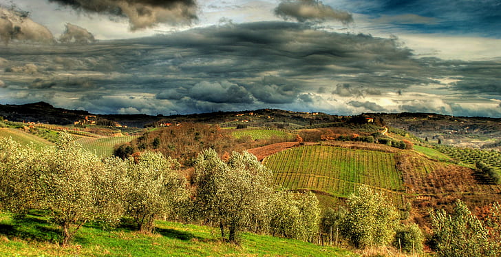 landscape photography of green field, natura, un, quadro, landscape photography, green field, certaldo, firenze, hdr, toscana, tuscany, grape, oil, cloud, wind, sigma, f2.8, manner, John Constable, hill, rural Scene, nature, agriculture, vine, field, vineyard, europe, italy, farm, landscaped, landscape, outdoors, mountain, scenics, sky, italian Culture, house, tree, lighting Technique, chianti Region, land, summer, plantation, plant, winery, autumn, HD wallpaper
