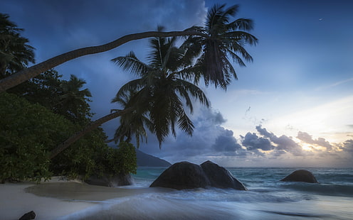 Samudera Hindia, Seychelles, pohon kelapa, pohon palem, pantai, daerah tropis, batu, Seychelles, samudera, Samudera Hindia, Wallpaper HD HD wallpaper