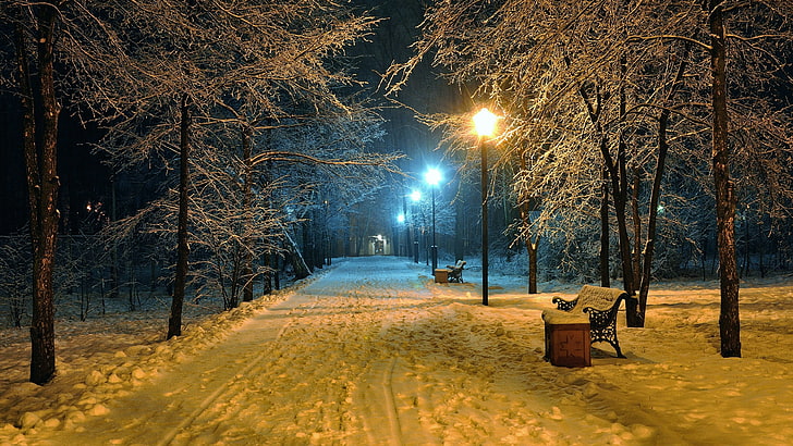 snow, winter, nature, tree, freezing, park, night, light, branch, evening, walking path, sky, walkway, sunlight, bennch, street light, HD wallpaper