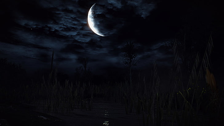 The Witcher 3: Wild Hunt, Videospiele, HD-Hintergrundbild