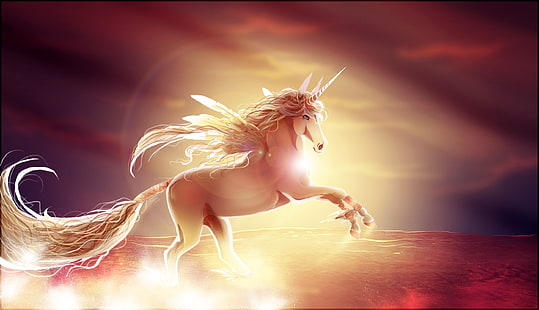 ClipArt unicorno marrone, tramonto, cavallo, ali, unicorno, Sfondo HD HD wallpaper