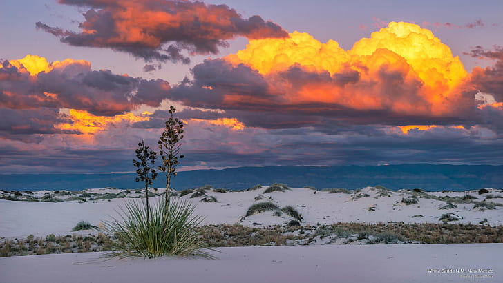 White Sands N.M., New Mexico, Nordamerika, HD tapet
