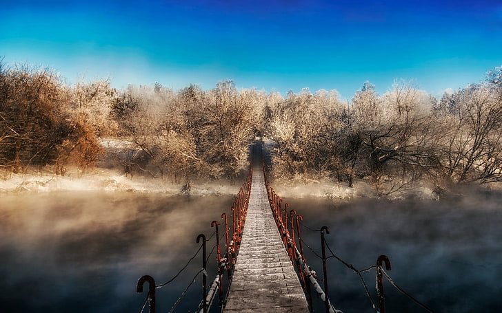 brown bridge, winter, forest, mist, bridge, walkway, snow, nature, landscape, path, trees, HD wallpaper