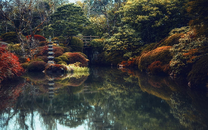 grönt lövträd och vattensamling, natur, landskap, japanska, trädgård, träd, buskar, bro, damm, reflektion, färgglada, vatten, HD tapet