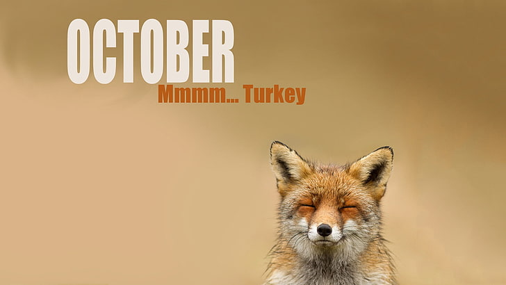 Октябрь текстр, октябрь, месяц, лиса, HD обои