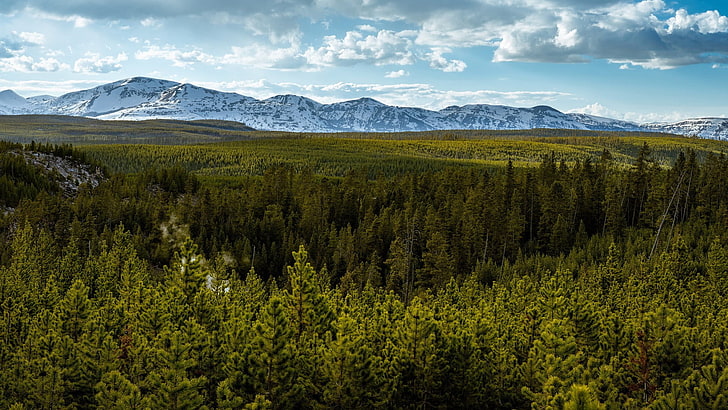 зелена гора, природа, планини, небе, гора, дървета, пейзаж, Канада, HD тапет