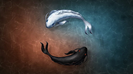 Symbole de poisson Yin et Yang, Fond d'écran HD HD wallpaper