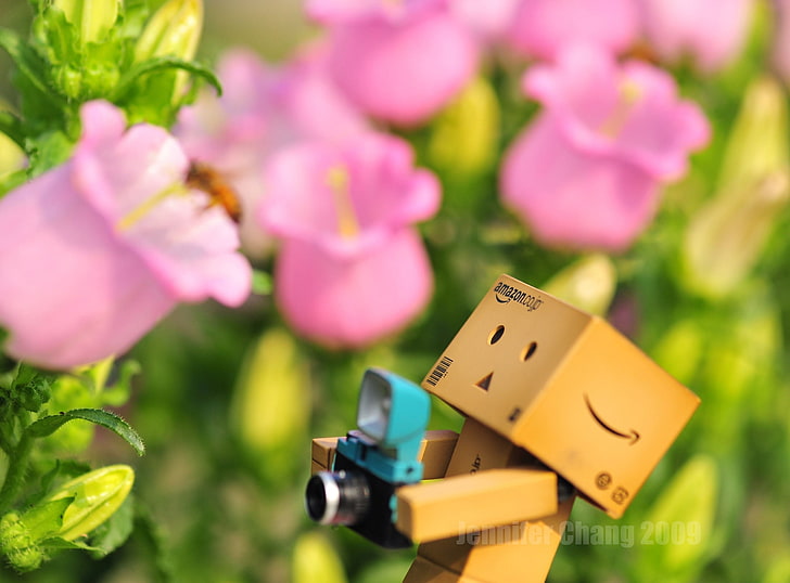 Danbo & Bee, wooden character holding camera illustration, Aero, Creative, Seasons/Spring, danbo, bee, flowers, spring, HD wallpaper