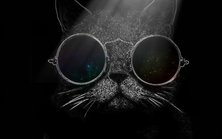 kucing dengan ilustrasi kacamata hitam, kucing, Wallpaper HD