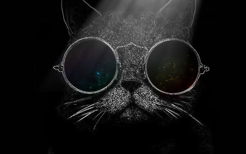 kucing dengan ilustrasi kacamata hitam, kucing, Wallpaper HD HD wallpaper