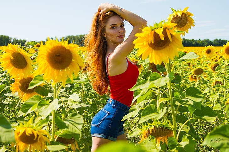 field, summer, look, girl, sunflowers, pose, mood, shorts, freckles, red, redhead, freckled, Cyril Zakirov, Alina Nureyev, HD wallpaper