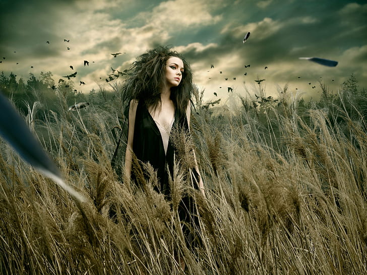 woman wearing black sleeveless dress in grasses photo, Solitude, woman, black, sleeveless, dress, grasses, photo, portrait, hasselblad, h2, fashion, digital, crow, bird, First, Quality, women, nature, beauty, beautiful, females, people, summer, outdoors, young Adult, one Person, sensuality, caucasian Ethnicity, adult, fashion Model, HD wallpaper