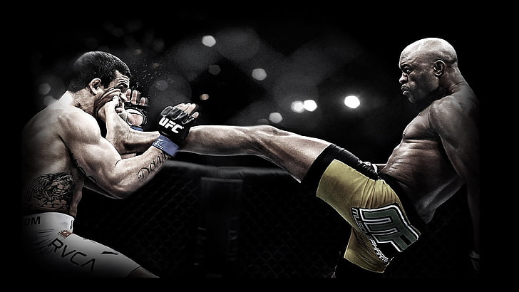 MMA illustration, blow, MMA, front kick, Anderson Silva, UFC, mixed martial arts, Vitor Belfort, HD wallpaper