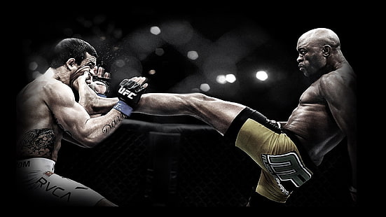 MMA illustration, blow, MMA, front kick, Anderson Silva, UFC, mixed martial arts, Vitor Belfort, HD wallpaper HD wallpaper