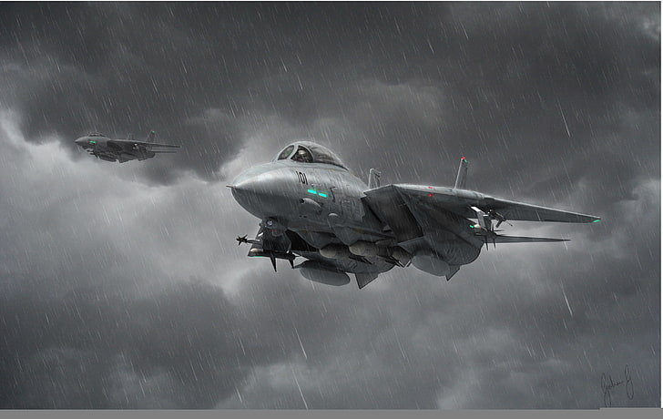 sfondo grigio aereo da caccia, aviazione, combattente, arte, aereo, jet, F-14, intercettore, Tomcat, Sfondo HD