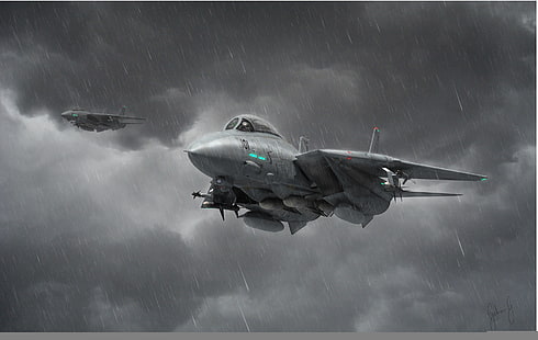 серый истребитель обои, авиация, истребитель, арт, самолет, реактивный, F-14, перехватчик, Tomcat, HD обои HD wallpaper